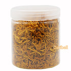120g Daribell Javanese Turmeric Drink